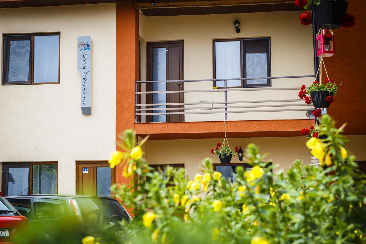 Hotel Casa Tudorascu Vama Veche Esterno foto