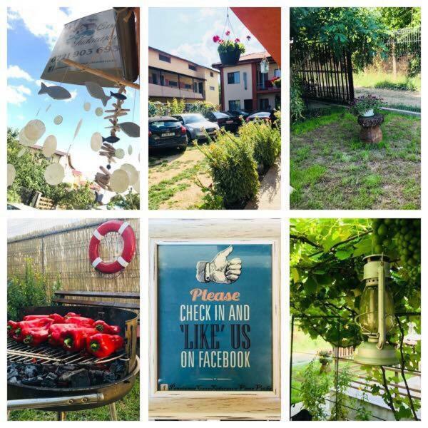 Hotel Casa Tudorascu Vama Veche Esterno foto