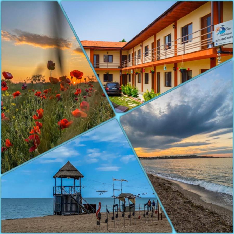 Hotel Casa Tudorascu Vama Veche Esterno foto